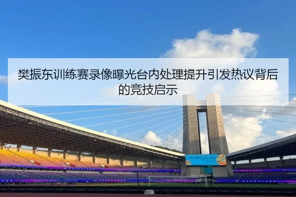 樊振东训练赛录像曝光台内处理提升引发热议背后的竞技启示